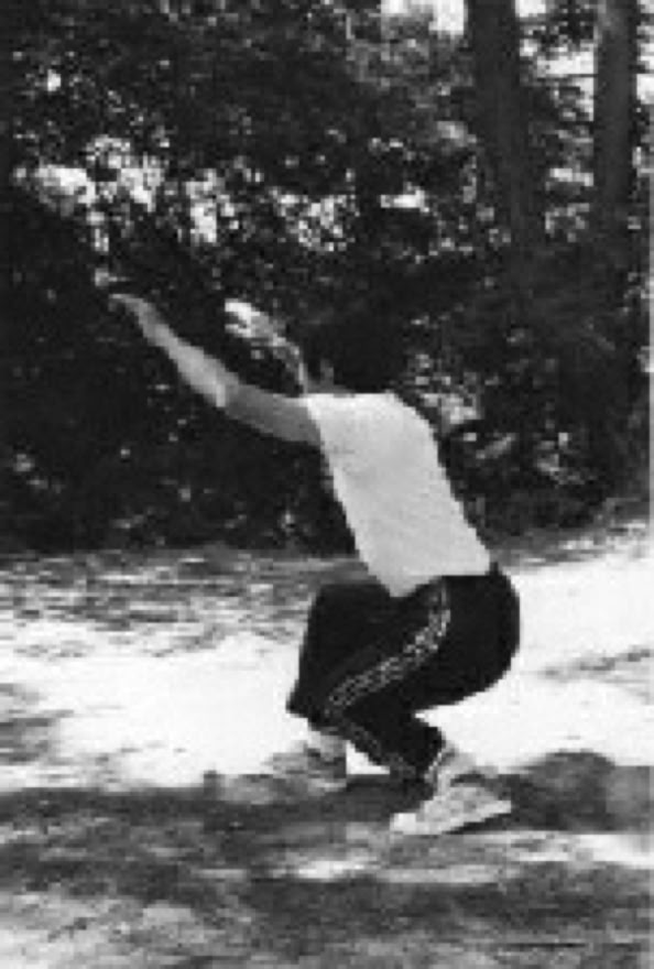 Saito sensei deep Hai Taikiken side view left.