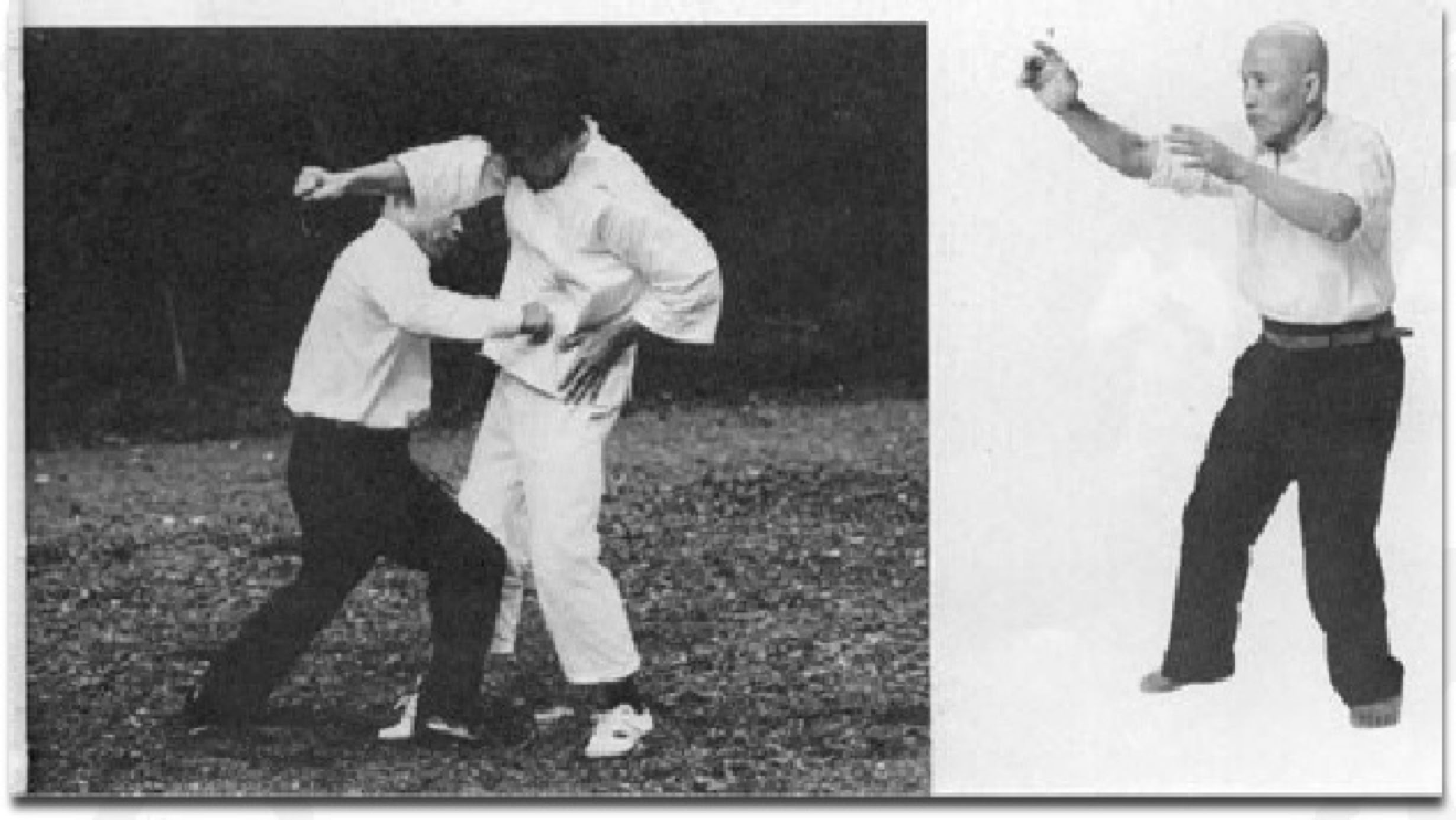 Taikiken Kenichi Sawai Attack Daken