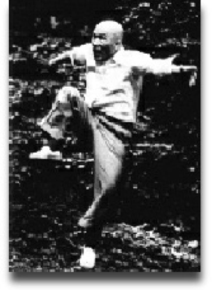 Kenichi Sawai practicing Tanshu in Meiji Jingu, Tokyo.