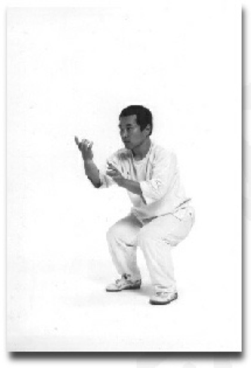 Yoshimichi Sato demonstrating Taikiken Sashi-te 