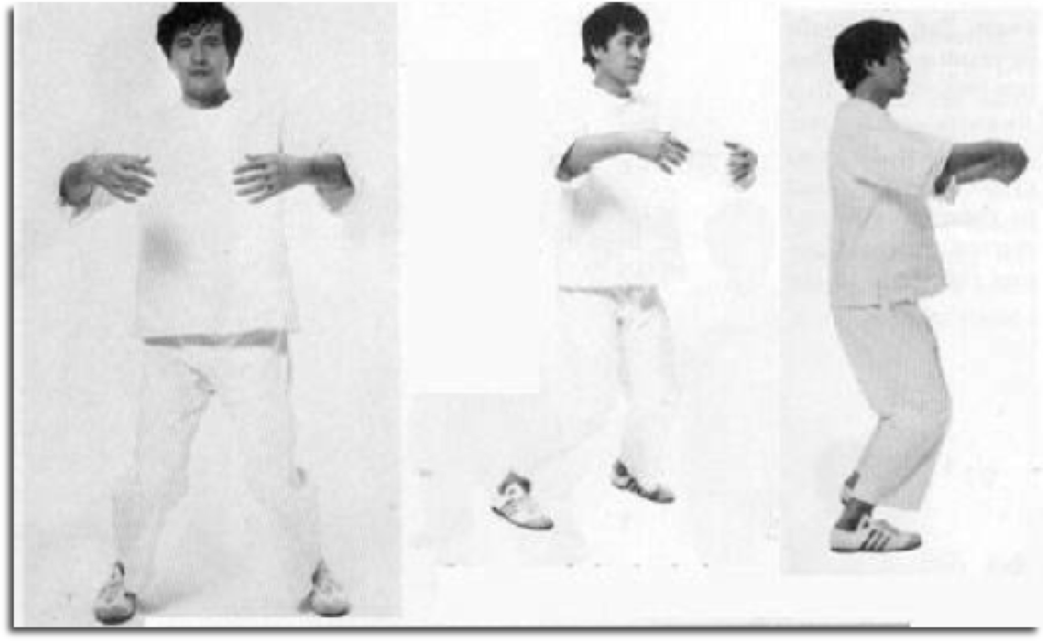 Akio Sawai demonstrating Taikiken Ritsuzen.