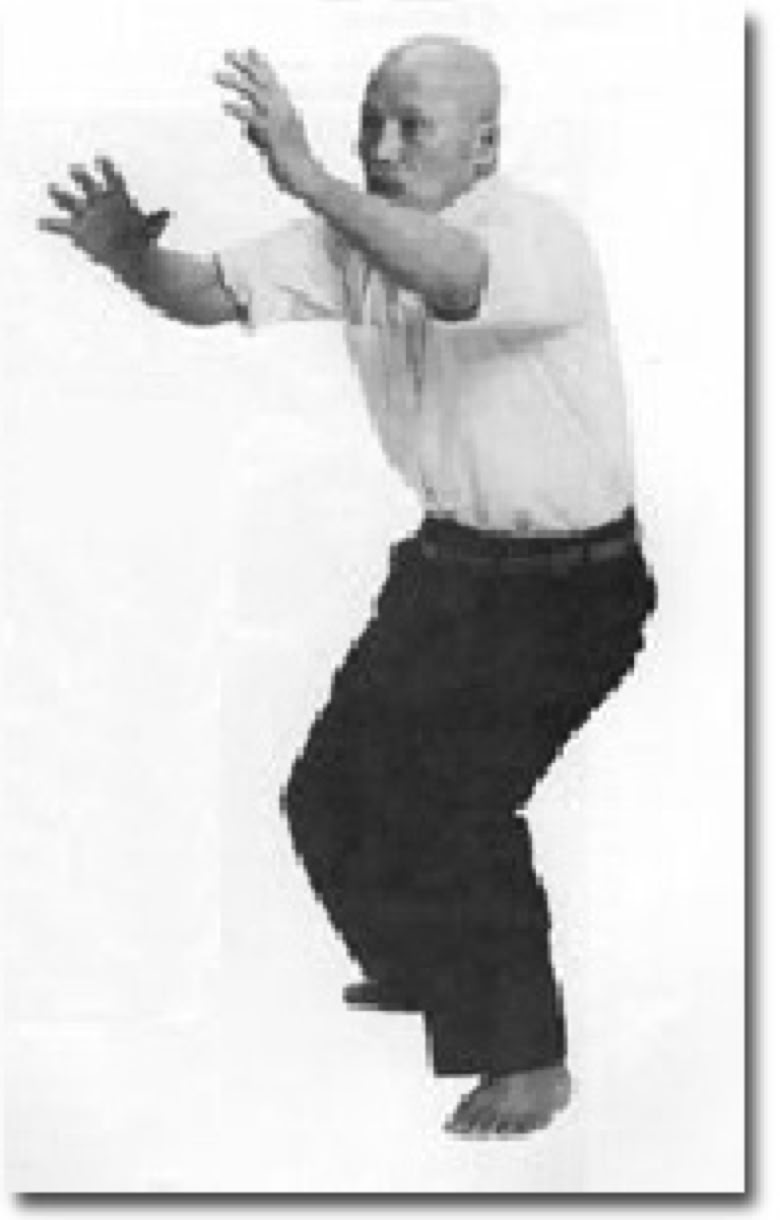 Kenichi Sawai showing Taikiken Kamai.