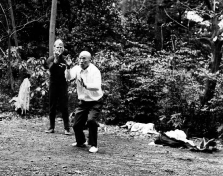 Ron Nansink trying to copy Sawai senseis moves in Meiji Jingu.